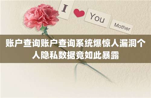 账户查询账户查询系统爆惊人漏洞个人隐私数据竟如此暴露