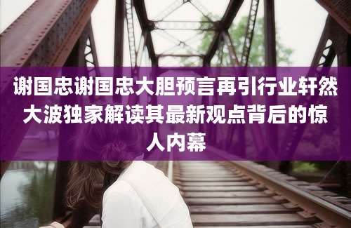 谢国忠谢国忠大胆预言再引行业轩然大波独家解读其最新观点背后的惊人内幕