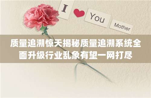 质量追溯惊天揭秘质量追溯系统全面升级行业乱象有望一网打尽