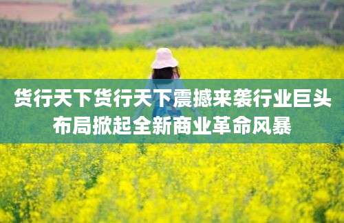 货行天下货行天下震撼来袭行业巨头布局掀起全新商业革命风暴