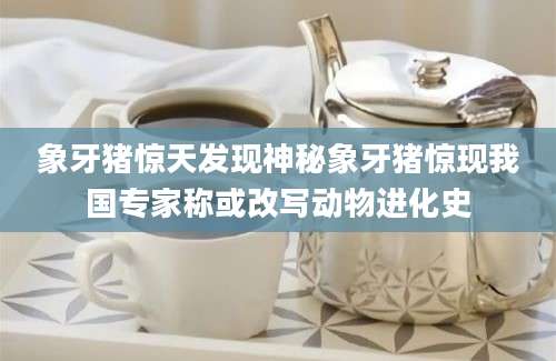 象牙猪惊天发现神秘象牙猪惊现我国专家称或改写动物进化史