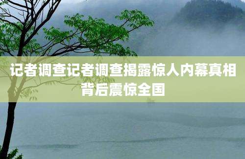 记者调查记者调查揭露惊人内幕真相背后震惊全国