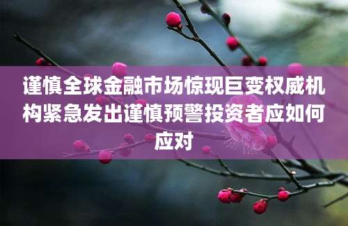 谨慎全球金融市场惊现巨变权威机构紧急发出谨慎预警投资者应如何应对