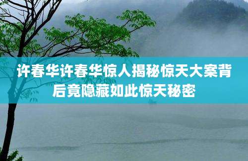 许春华许春华惊人揭秘惊天大案背后竟隐藏如此惊天秘密