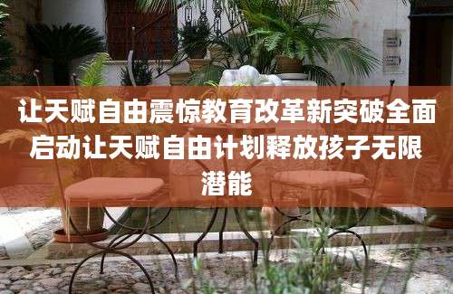 让天赋自由震惊教育改革新突破全面启动让天赋自由计划释放孩子无限潜能