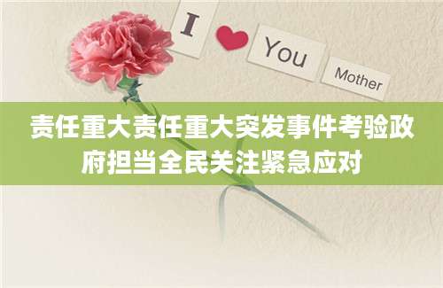 责任重大责任重大突发事件考验政府担当全民关注紧急应对