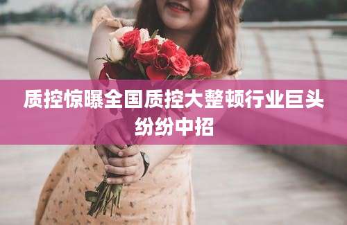 质控惊曝全国质控大整顿行业巨头纷纷中招