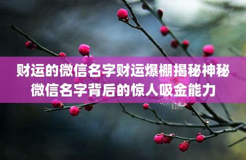 财运的微信名字财运爆棚揭秘神秘微信名字背后的惊人吸金能力