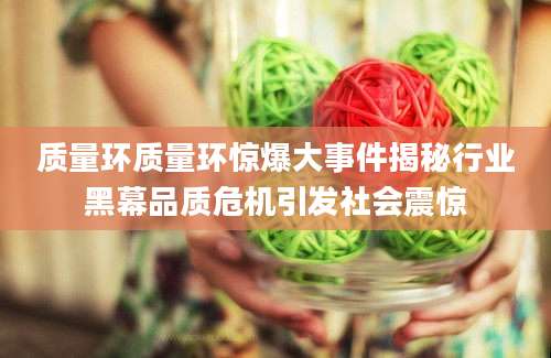 质量环质量环惊爆大事件揭秘行业黑幕品质危机引发社会震惊