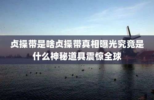贞操带是啥贞操带真相曝光究竟是什么神秘道具震惊全球