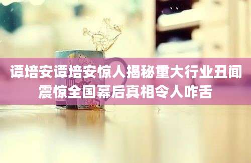 谭培安谭培安惊人揭秘重大行业丑闻震惊全国幕后真相令人咋舌