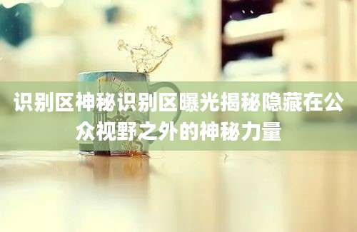 识别区神秘识别区曝光揭秘隐藏在公众视野之外的神秘力量
