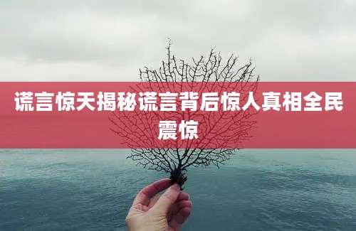 谎言惊天揭秘谎言背后惊人真相全民震惊