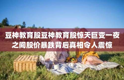 豆神教育股豆神教育股惊天巨变一夜之间股价暴跌背后真相令人震惊