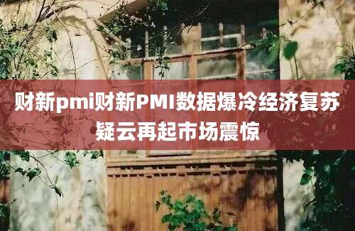 财新pmi财新PMI数据爆冷经济复苏疑云再起市场震惊