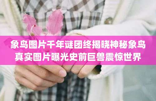 象鸟图片千年谜团终揭晓神秘象鸟真实图片曝光史前巨兽震惊世界