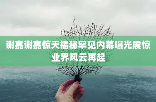 谢嘉谢嘉惊天揭秘罕见内幕曝光震惊业界风云再起
