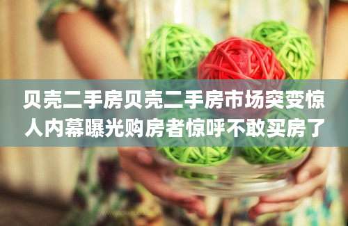 贝壳二手房贝壳二手房市场突变惊人内幕曝光购房者惊呼不敢买房了