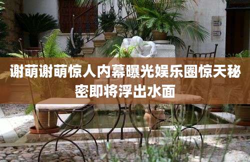 谢萌谢萌惊人内幕曝光娱乐圈惊天秘密即将浮出水面