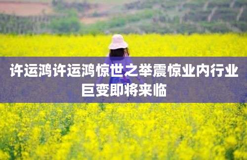 许运鸿许运鸿惊世之举震惊业内行业巨变即将来临