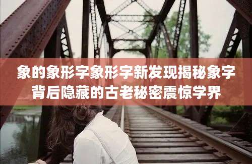 象的象形字象形字新发现揭秘象字背后隐藏的古老秘密震惊学界