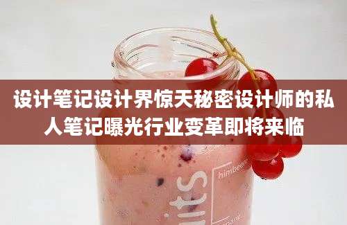 设计笔记设计界惊天秘密设计师的私人笔记曝光行业变革即将来临