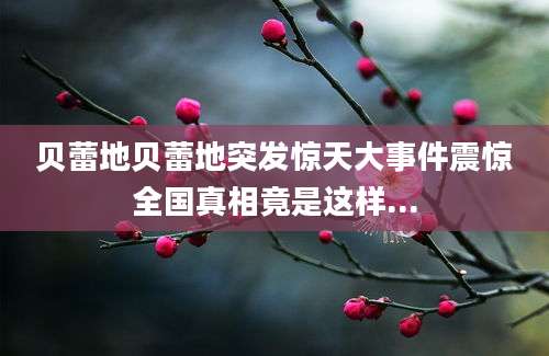贝蕾地贝蕾地突发惊天大事件震惊全国真相竟是这样...