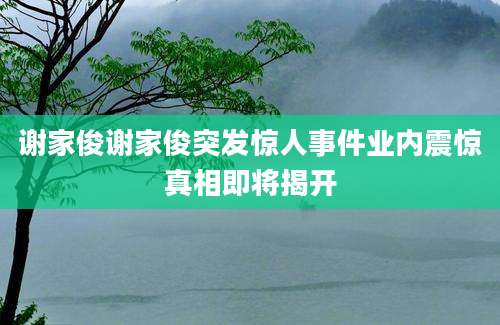 谢家俊谢家俊突发惊人事件业内震惊真相即将揭开