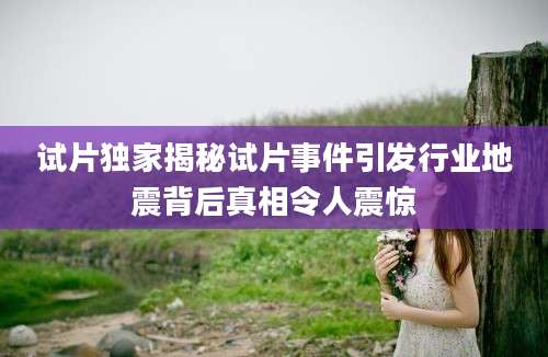 试片独家揭秘试片事件引发行业地震背后真相令人震惊