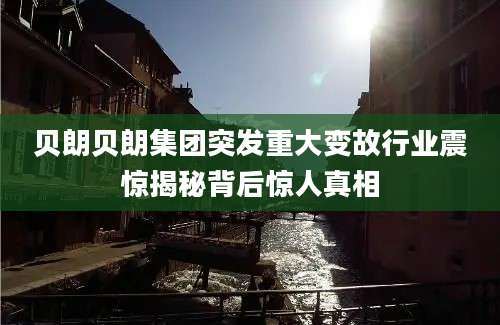 贝朗贝朗集团突发重大变故行业震惊揭秘背后惊人真相