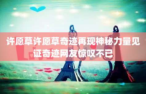 许愿草许愿草奇迹再现神秘力量见证奇迹网友惊叹不已