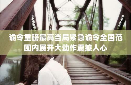 谕令重磅最高当局紧急谕令全国范围内展开大动作震撼人心