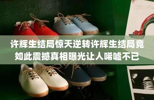 许辉生结局惊天逆转许辉生结局竟如此震撼真相曝光让人唏嘘不已