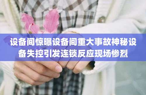 设备间惊曝设备间重大事故神秘设备失控引发连锁反应现场惨烈