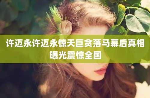 许迈永许迈永惊天巨贪落马幕后真相曝光震惊全国