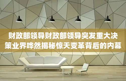 财政部领导财政部领导突发重大决策业界哗然揭秘惊天变革背后的内幕