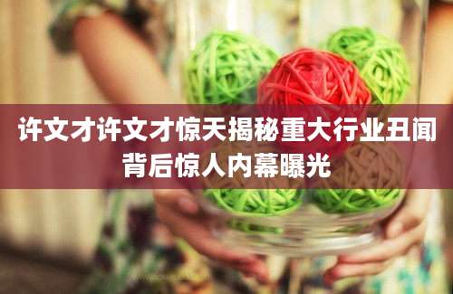 许文才许文才惊天揭秘重大行业丑闻背后惊人内幕曝光