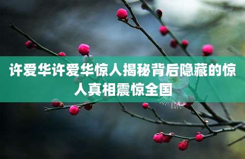 许爱华许爱华惊人揭秘背后隐藏的惊人真相震惊全国