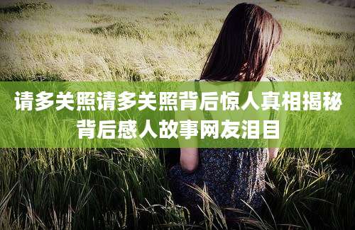 请多关照请多关照背后惊人真相揭秘背后感人故事网友泪目