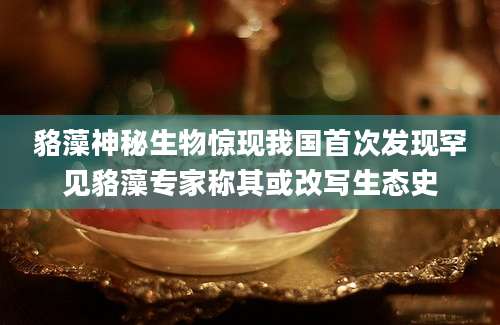 貉藻神秘生物惊现我国首次发现罕见貉藻专家称其或改写生态史