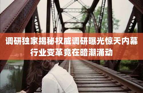 调研独家揭秘权威调研曝光惊天内幕行业变革竟在暗潮涌动
