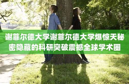 谢菲尔德大学谢菲尔德大学爆惊天秘密隐藏的科研突破震撼全球学术圈