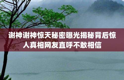 谢神谢神惊天秘密曝光揭秘背后惊人真相网友直呼不敢相信