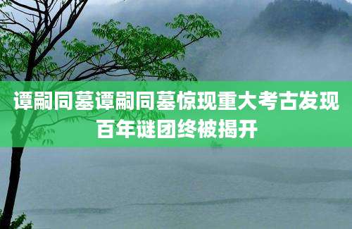 谭嗣同墓谭嗣同墓惊现重大考古发现百年谜团终被揭开