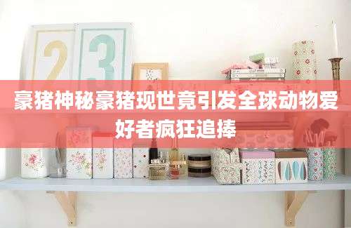 豪猪神秘豪猪现世竟引发全球动物爱好者疯狂追捧