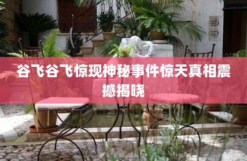 谷飞谷飞惊现神秘事件惊天真相震撼揭晓