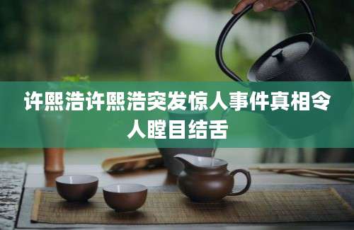 许熙浩许熙浩突发惊人事件真相令人瞠目结舌