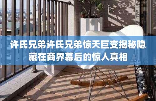 许氏兄弟许氏兄弟惊天巨变揭秘隐藏在商界幕后的惊人真相