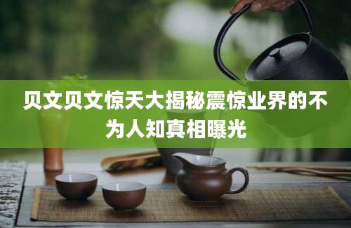 贝文贝文惊天大揭秘震惊业界的不为人知真相曝光