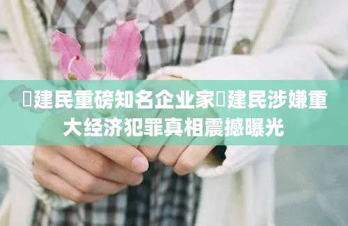 贠建民重磅知名企业家贠建民涉嫌重大经济犯罪真相震撼曝光